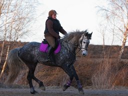 IMG-2179-033